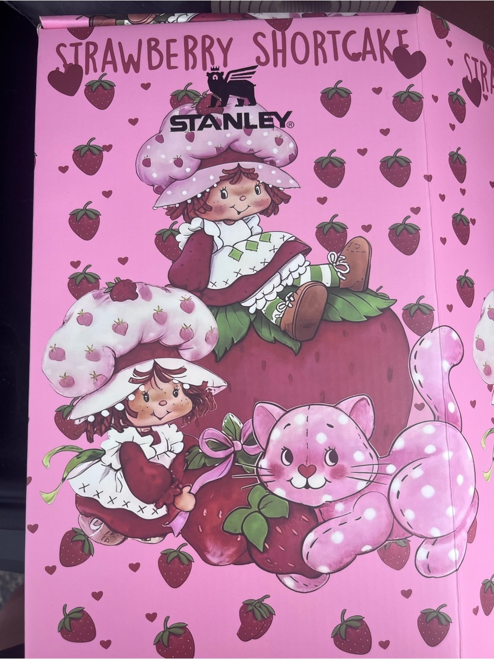 Strawberry Shortcake x Stanley quencher water bottle cup loveshackfancy gift box - Picture 5 of 5